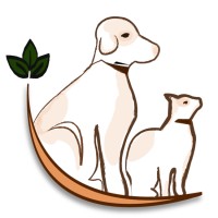 Benevolent Souls Foundation logo - Similar company to Greycat Digital