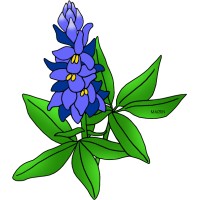 Bluebonnet Environmental Engineering & Landower logo - Similar company to Bluebonnet Scanning Services Llc