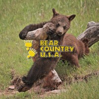 Bear Country USA logo - Similar company to Butler Coring Inc.