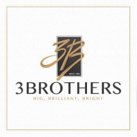 3Brothers logo - Similar company to ‏‎Sega-M Electrical Products‎
