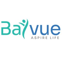 Bayvue Ltd logo - Similar company to Skill Point  Management Consultancy.