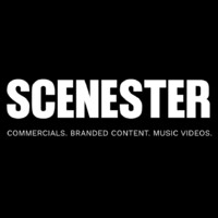 Scenester Films logo - Similar company to Folkalist