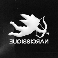 .Narcissique logo - Similar company to Freesec