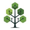 Synecoia logo - Similar company to Careease