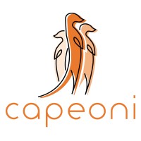 CAPEONI logo - Similar company to Babaoo