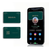 BRAVA NFC logo - Similar company to Remax G4