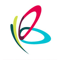 The Chrysalis Group logo - Similar company to Transformational Institute