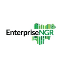 EnterpriseNGR logo - Similar company to Balosh Integrated Services Limited