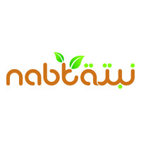 Nabta logo - Similar company to Nabtacode