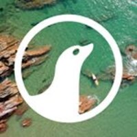 Sea Lion Boards logo - Similar company to Wailing Banshee