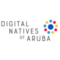 Digital Natives of Aruba logo - Similar company to Attain Insight