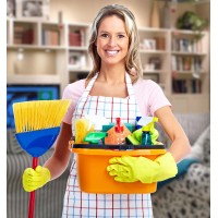 Quick Maid cleaning company abu dhabi logo - Similar company to Yellow Zone For Digital Solutions