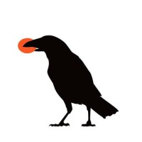 Bright Raven Marketing UK logo - Similar company to Alphasonics Ucs