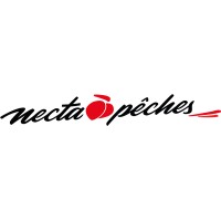 NECTAPECHES logo - Similar company to Gemstab