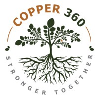 Copper 360 logo - Similar company to Marula Mining Plc
