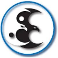 Elite Computing Austin, LLC logo - Similar company to The Critical Update Inc