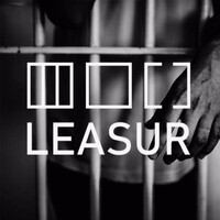 Leasur ONG logo - Similar company to Proyecto Reinserción