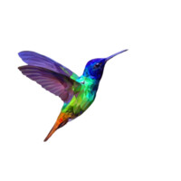 Boreal Aurora Academy logo - Similar company to Technocrate