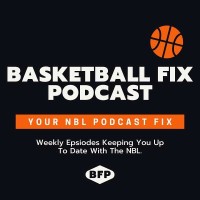 The Basketball Fix logo - Similar company to Byblos Group | Byblos Constructions