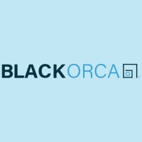 BLACKORCA logo - Similar company to Versology