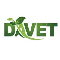 DAVET logo - Similar company to Maca Đại Việt