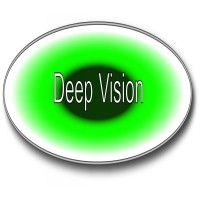 Deep Vision Inc. logo - Similar company to Gradelms Software Inc.