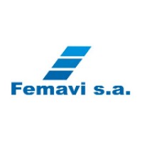 Femavi SA logo - Similar company to Globalsis