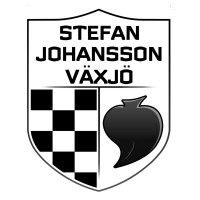 Stefan Johansson logo - Similar company to Blue Lion Creative