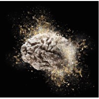 Brainwaves Consulting logo - Similar company to Summit Academy