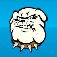 AppDog logo - Similar company to Dogapp Ltd