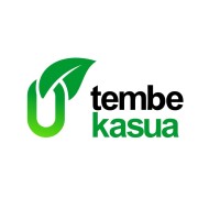 Tembekasua logo - Similar company to Velocity Network Foundation