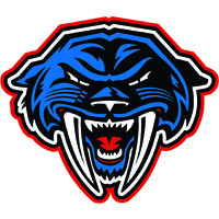 Peninsula Panthers Jr. Hockey Club Ltd. logo - Similar company to Georgetown Raiders
