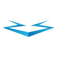 Netser logo - Similar company to Cambex