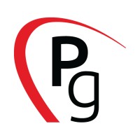 Concessionaria Ponginibbi Group logo - Similar company to Programma Auto Spa