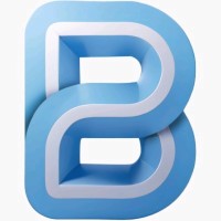 Bitworthy logo - Similar company to Olsps Analytics & Solutions