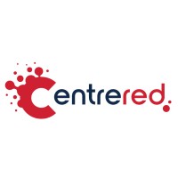 Centrered logo - Similar company to Netier