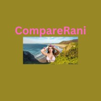 Compare Rani logo - Similar company to Pdg