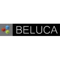 Beluca LLC logo - Similar company to Public Surplus