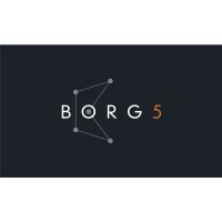 BORG5 Railway Telecom Network Specialists logo - Similar company to Signal Telecom (Stokesley)