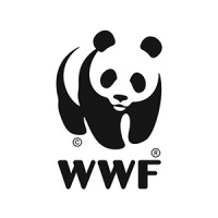 WWF México logo - Similar company to Toroto