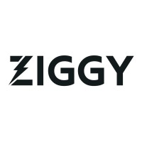 Ziggy | Revenue-First Demand Gen Agency logo - Similar company to Ledger Bennett