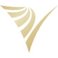 The Visualize Group logo - Similar company to Pointstate Capital Lp