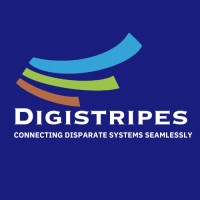 Digistripes logo - Similar company to Savvion