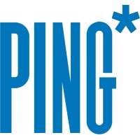 Ping srl logo - Similar company to Itside