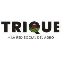 Trique logo - Similar company to Triquest