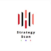 Strategy Scan By GMS logo - Similar company to 3D Engineering