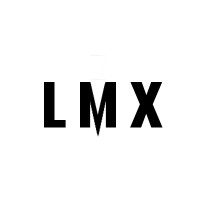 LMX Ledermax logo - Similar company to S Plus