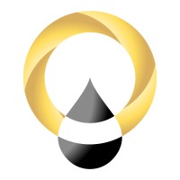 BLACK OURO SERVICES LDA logo - Similar company to Tis - Technical Integrated Services, Lda