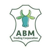 ABM Trading Corporation logo - Similar company to Nobull Burger