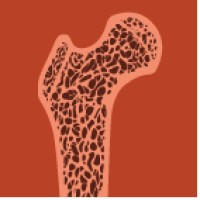 Osteology MDPI logo - Similar company to Micovation